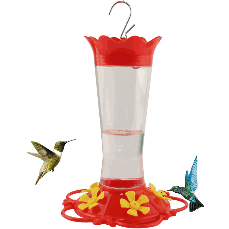 Straight-beaked Hummingbird Feeder