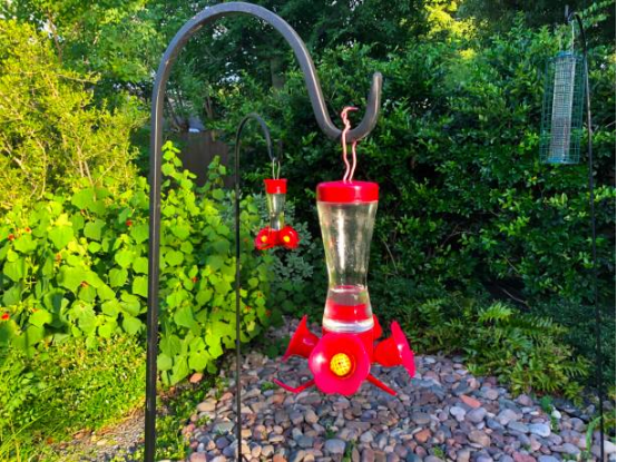 Hummingbird Feeder Glass and Plastic Combo