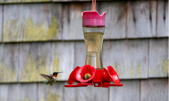 Hummingbird Feeder Leakproof Design