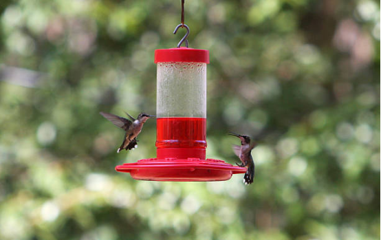 Hanging Hummingbird Feeder for Backyard
