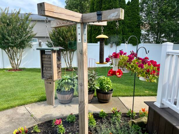 Backyard scene with bird feeders, vibrant flowers, and a red hummingbird feeder.